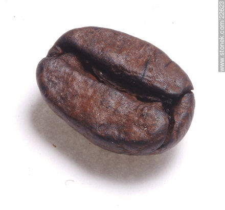Grano de café -  - IMÁGENES VARIAS. Foto No. 22623