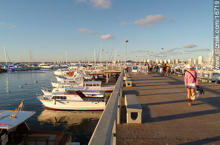 Marina en el Puerto de Punta del Este - Punta del Este y balnearios cercanos - URUGUAY. Foto No. 16719