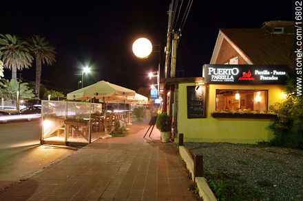  - Punta del Este and its near resorts - URUGUAY. Photo #16802