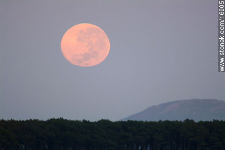  luna llena poniente sobre la isla Gorriti - Punta del Este y balnearios cercanos - URUGUAY. Foto No. 16905