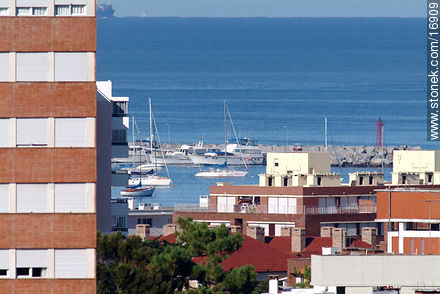  - Punta del Este and its near resorts - URUGUAY. Foto No. 16909