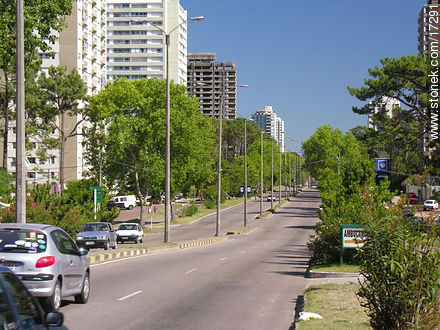 Avenida Roosevelt - Punta del Este y balnearios cercanos - URUGUAY. Foto No. 17291