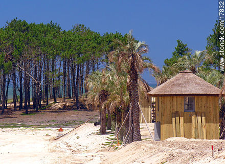  - Punta del Este and its near resorts - URUGUAY. Foto No. 17832