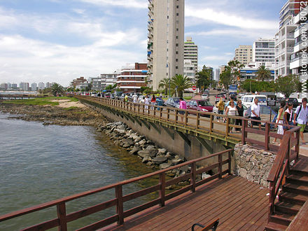  - Punta del Este and its near resorts - URUGUAY. Photo #18072