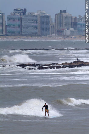 Surfer en  La Barra con el fondo de los edificios de Punta del Este - Punta del Este y balnearios cercanos - URUGUAY. Foto No. 18399