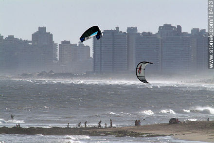  - Punta del Este and its near resorts - URUGUAY. Foto No. 18493