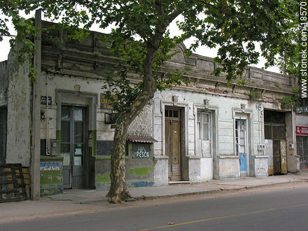 Av. Luis Batlle Berres - Departamento de Montevideo - URUGUAY. Foto No. 18570