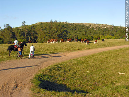  - Departamento de Lavalleja - URUGUAY. Foto No. 19254