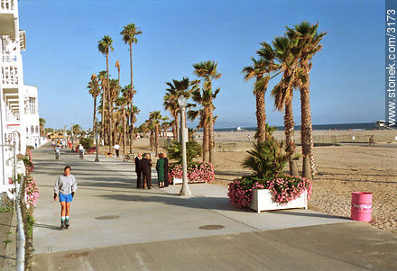 Rambla peatonal de Santa Mónica, Dogtown -  - EE.UU.-CANADÁ. Foto No. 3173