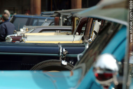 Capots de autos antiguos - Departamento de Montevideo - URUGUAY. Foto No. 16309