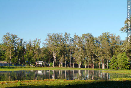 Laguna de las Lavanderas - Departamento de Tacuarembó - URUGUAY. Foto No. 16078