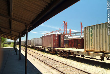 Trenes de carga en Tacuarembó - Departamento de Tacuarembó - URUGUAY. Foto No. 16434