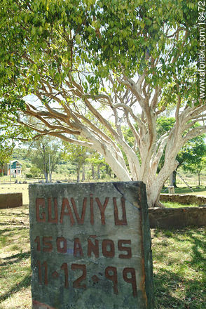 Árbol de Guaviyú de más de 100 años - Departamento de Tacuarembó - URUGUAY. Foto No. 16472