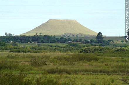 Cerros chatos en el límite con el departamento de Rivera - Departamento de Tacuarembó - URUGUAY. Foto No. 16515