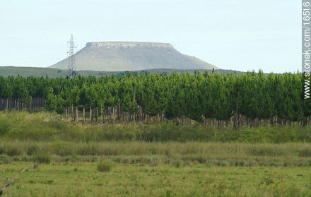 Cerros chatos del Cuñapirú - Departamento de Tacuarembó - URUGUAY. Foto No. 16516