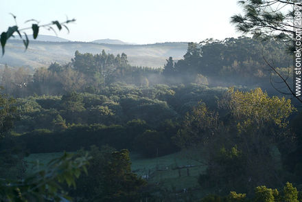 Neblina en los bosques - Departamento de Lavalleja - URUGUAY. Foto No. 26861