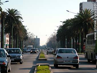 Artigas Boulevard to west. - Department of Montevideo - URUGUAY. Photo #3951