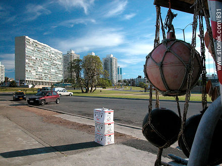  - Department of Montevideo - URUGUAY. Photo #831