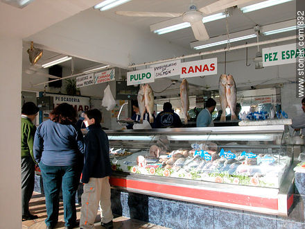 Fish stores in Puerto del Buceo - Department of Montevideo - URUGUAY. Photo #832