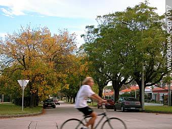  - Departamento de Montevideo - URUGUAY. Foto No. 1017