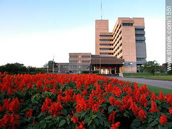 Government headquarters until 2009 - Department of Montevideo - URUGUAY. Photo #1551