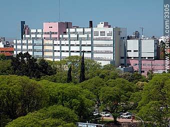 Hospital Pereira Rossell. - Departamento de Montevideo - URUGUAY. Foto No. 3305