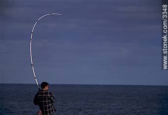 Pesca cerca en el Río de la Plata. - Departamento de Montevideo - URUGUAY. Foto No. 3348