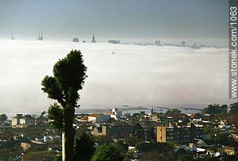A foggy day. - Department of Montevideo - URUGUAY. Photo #1063