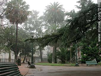  - Departamento de Montevideo - URUGUAY. Foto No. 1108
