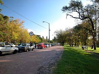  - Department of Montevideo - URUGUAY. Photo #2458