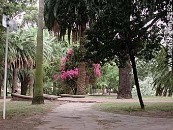  - Departamento de Montevideo - URUGUAY. Foto No. 2562