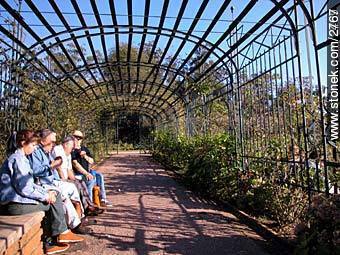  - Departamento de Montevideo - URUGUAY. Foto No. 2467