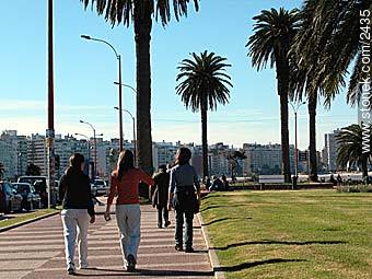 - Department of Montevideo - URUGUAY. Photo #2435