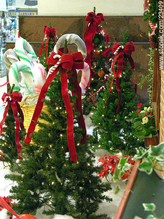 Arbolitos de Navidad -  - IMÁGENES VARIAS. Foto No. 23409