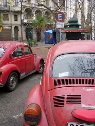 Escarabajos, fuscas. - Departamento de Montevideo - URUGUAY. Foto No. 26556