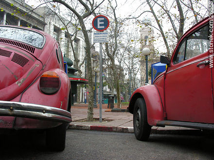 Escarabajos, fuscas. - Departamento de Montevideo - URUGUAY. Foto No. 26558
