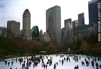 Central Park in winter. - State of New York - USA-CANADA. Photo #1985