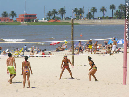 Playa Pocitos - Departamento de Montevideo - URUGUAY. Foto No. 26246