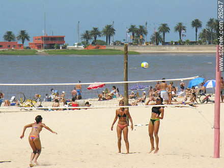 Playa Pocitos - Departamento de Montevideo - URUGUAY. Foto No. 26247