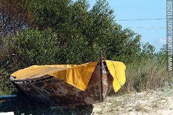 - Departamento de Canelones - URUGUAY. Foto No. 10259
