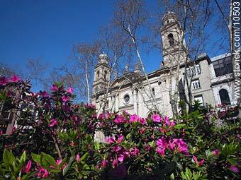 Metropolitan Cathedral - Department of Montevideo - URUGUAY. Photo #10503