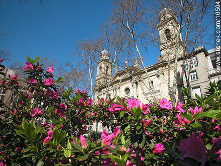 Catedral Metropolitana - Departamento de Montevideo - URUGUAY. Foto No. 10504