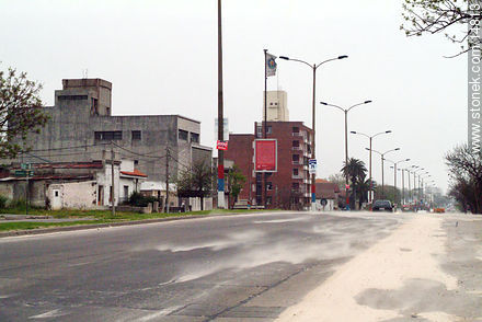 Av. B. Y Ordóñez un día de viento - Departamento de Montevideo - URUGUAY. Foto No. 14813