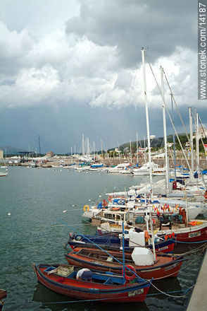  - Departamento de Maldonado - URUGUAY. Foto No. 14187