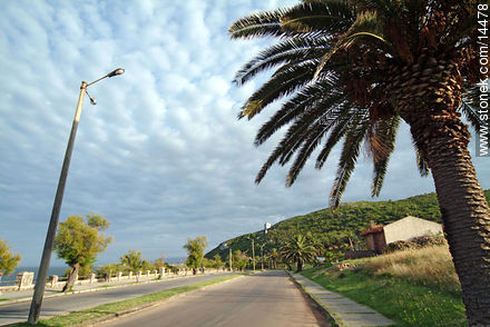 Rambla de Punta Fría - Departamento de Maldonado - URUGUAY. Foto No. 14478
