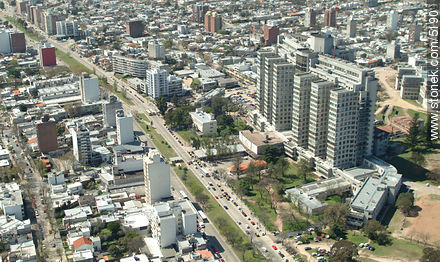 Parque Batlle, Hospital de Clínicas, Av Italia - Departamento de Montevideo - URUGUAY. Foto No. 5190
