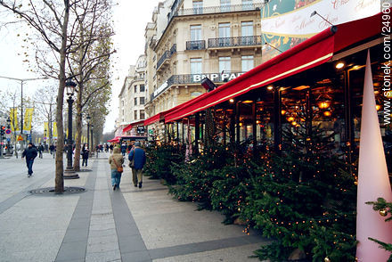 Champs Elysées - París - FRANCIA. Foto No. 24960