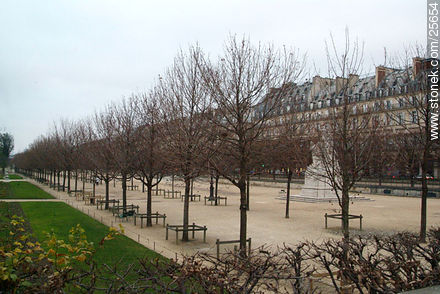 Tuileries - Paris - FRANCE. Photo #25654