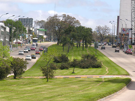Avenida Italia - Departamento de Montevideo - URUGUAY. Foto No. 17334