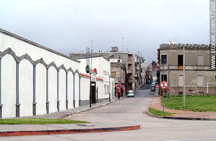 Calle Washington - Departamento de Montevideo - URUGUAY. Foto No. 17340